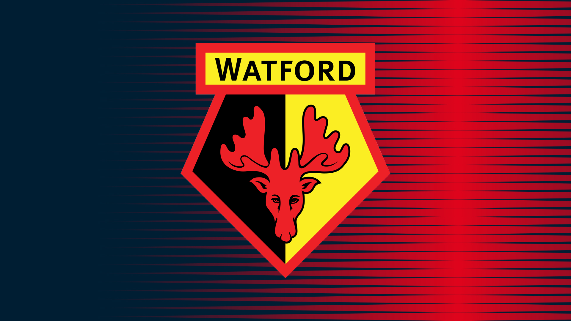 Představujeme soupeře: Watford FC