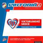 Viktorin 14/2013