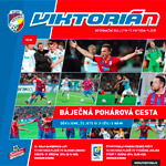 Viktorin 16/2013